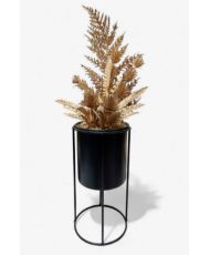 Plante doré avec socle noir